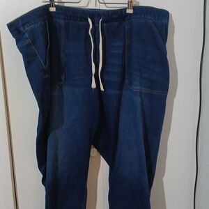 Lane Bryant Blue Denim Pants